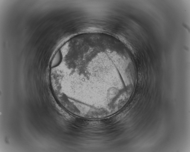 X0000096961421200802291110