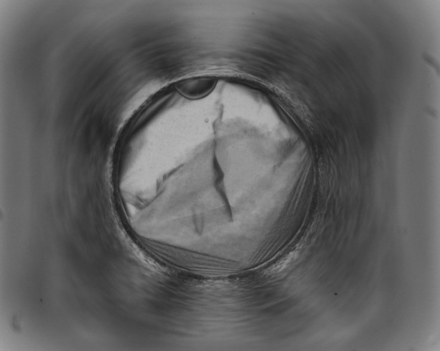 X0000096961422200802291110