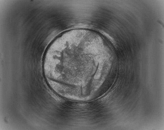 X0000096961423200802291110