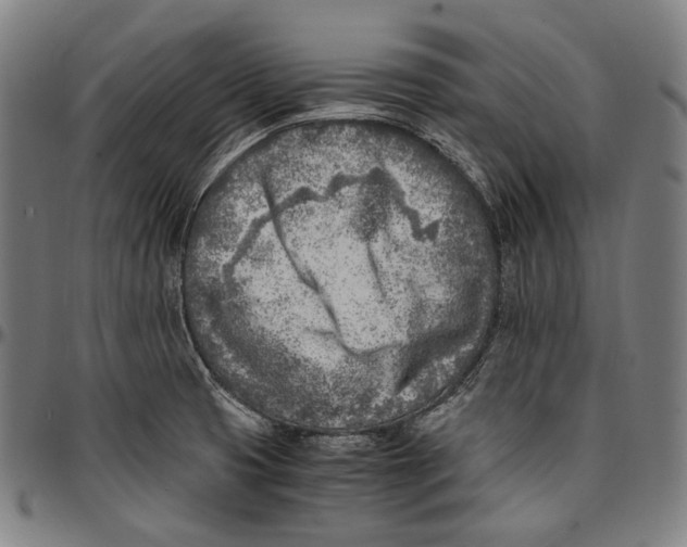 X0000096961425200802291110