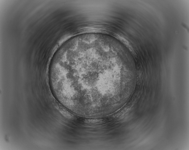 X0000096961427200802291110