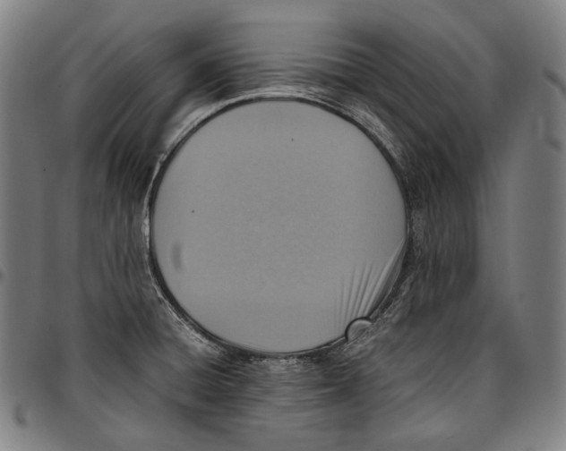 X0000096961428200802291110