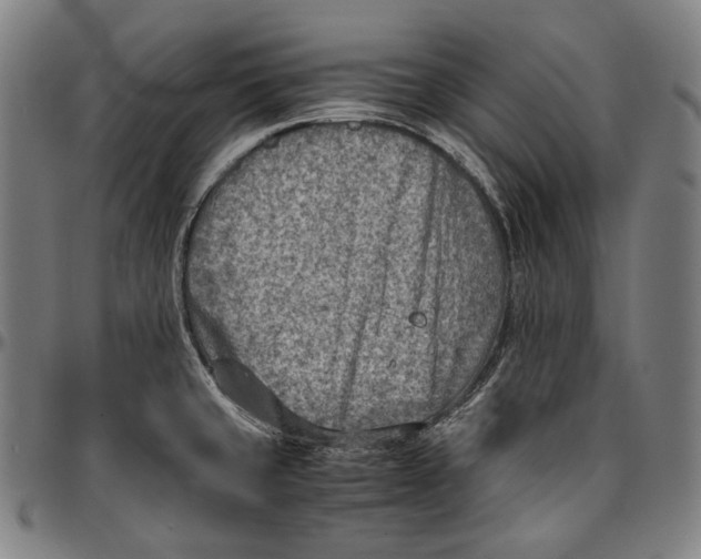 X0000096961429200802291110