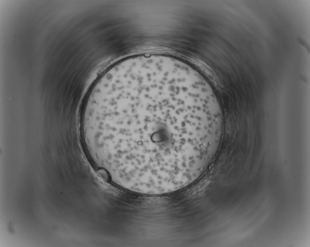 X0000096961430200802291110