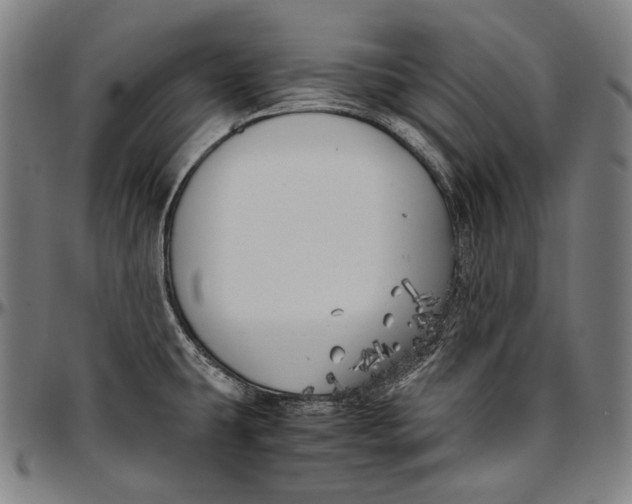 X0000096961431200802291110