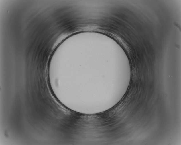 X0000096961432200802291110