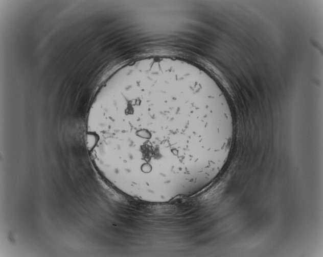 X0000096961433200802291110