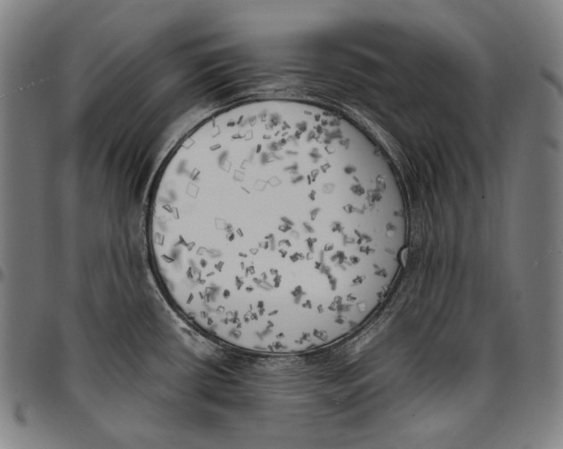 X0000096961434200802291110