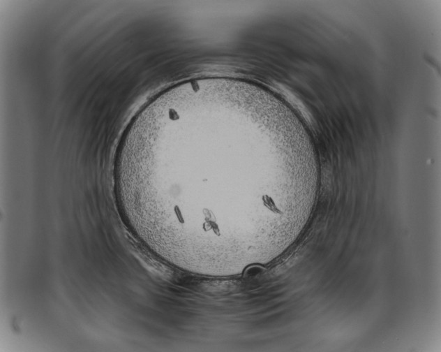 X0000096961435200802291110