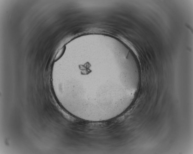 X0000096961437200802291110