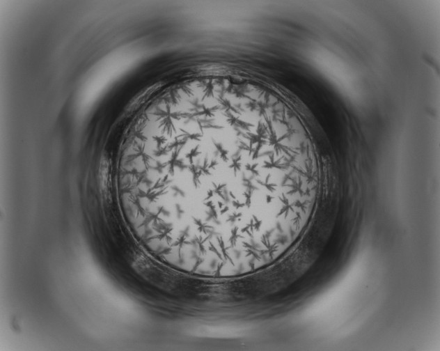 X0000096961438200802291110