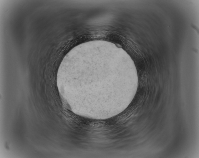 X0000096961441200802291109