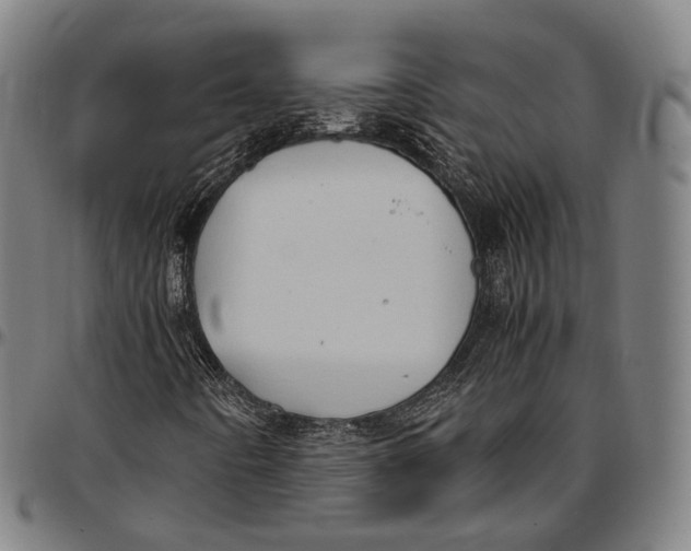 X0000096961442200802291109