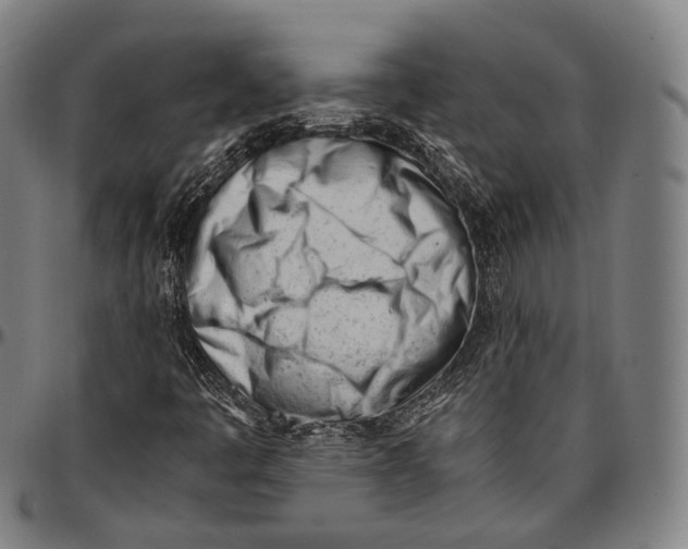 X0000096961445200802291109