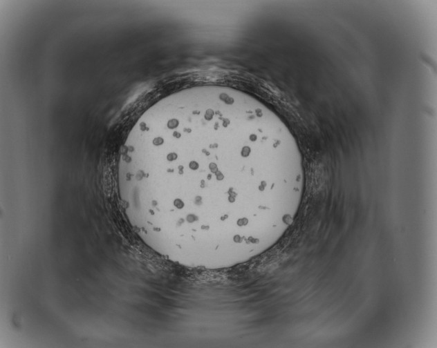 X0000096961446200802291109