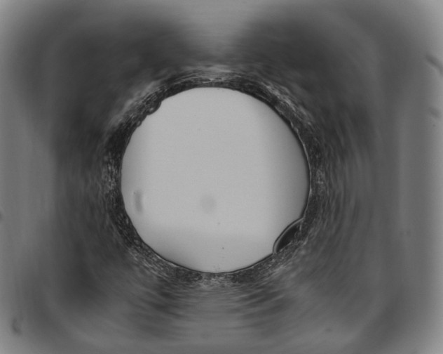 X0000096961447200802291109