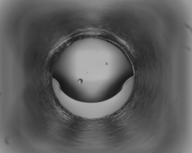 X0000096961448200802291109