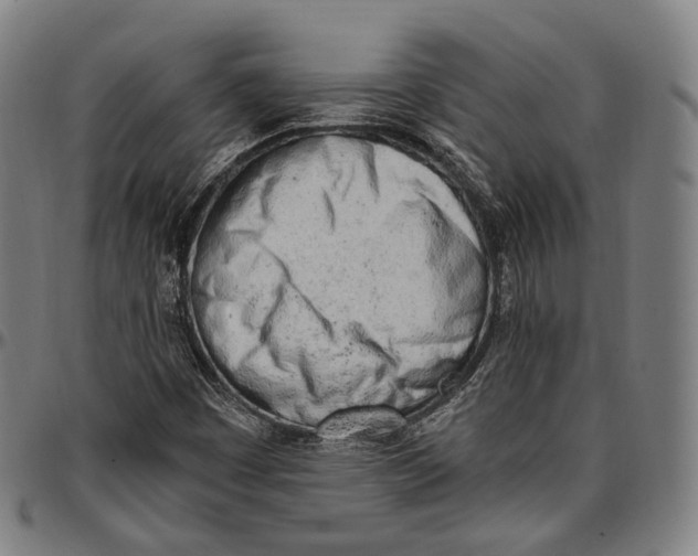 X0000096961449200802291109