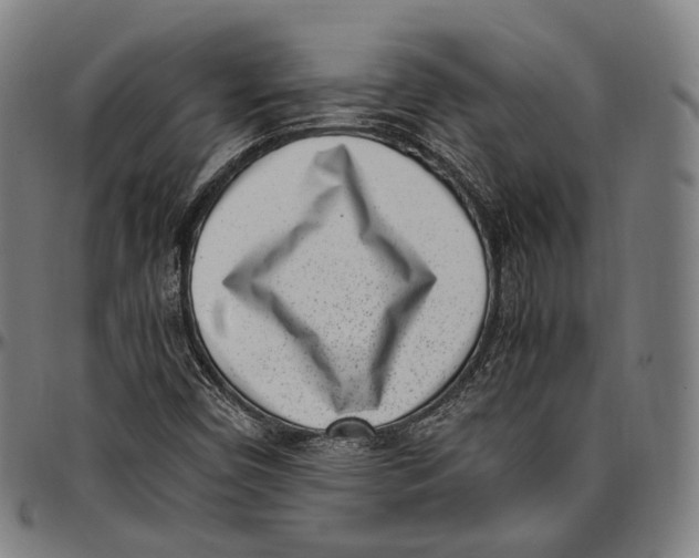 X0000096961450200802291109