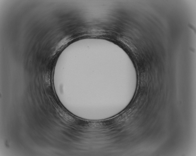 X0000096961451200802291109