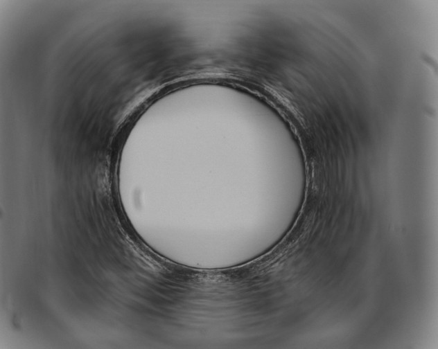 X0000096961452200802291109