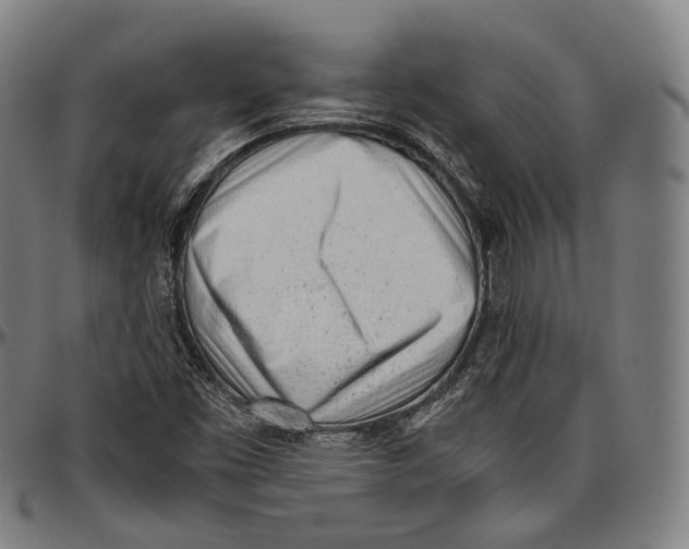 X0000096961453200802291109