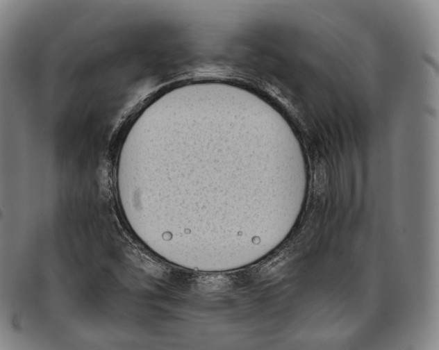 X0000096961454200802291109