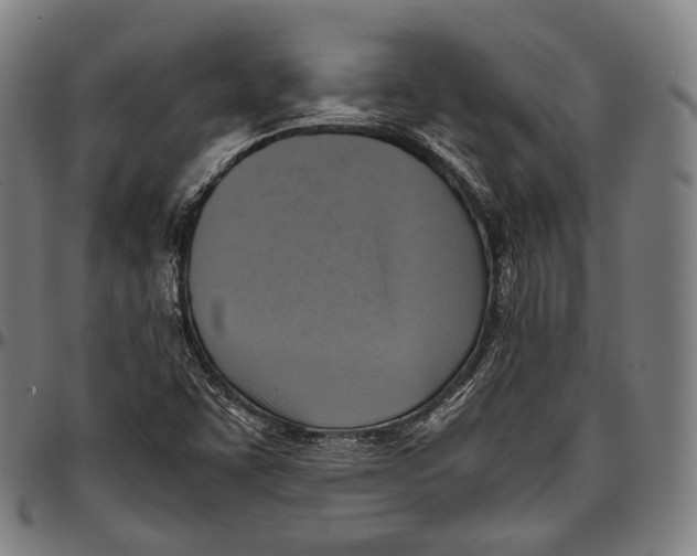 X0000096961455200802291109