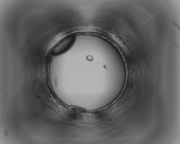 X0000096961456200802291109