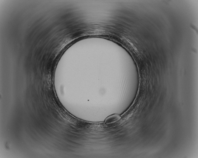 X0000096961457200802291109