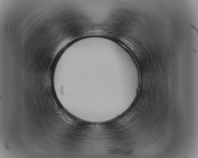 X0000096961458200802291109