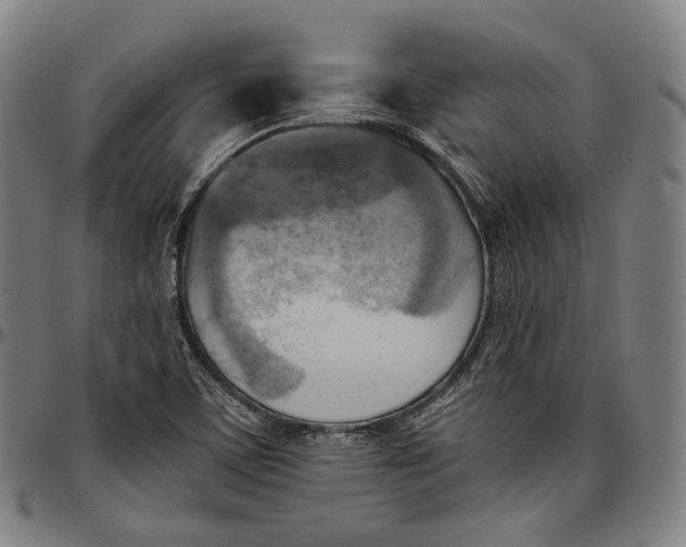 X0000096961459200802291109