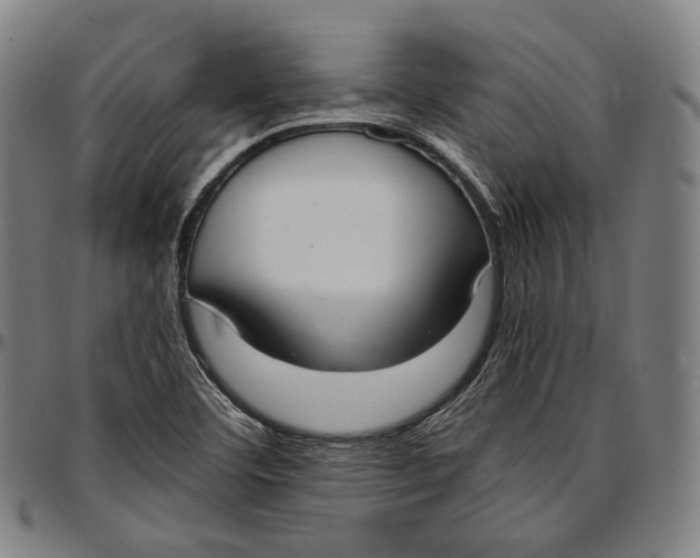 X0000096961460200802291109