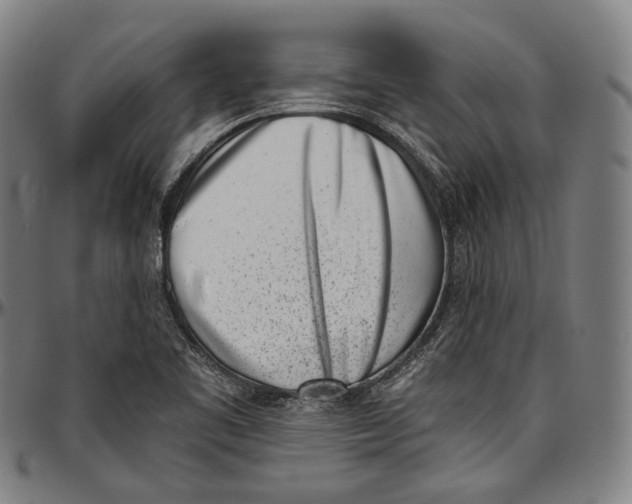 X0000096961461200802291109