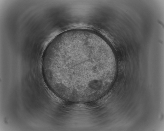 X0000096961463200802291109