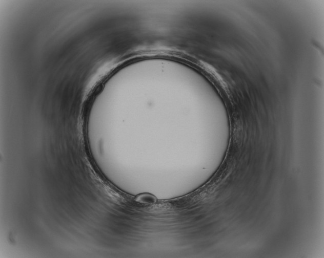 X0000096961464200802291109