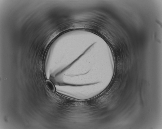 X0000096961465200802291109