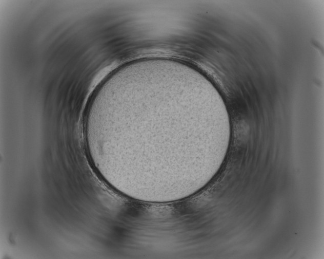 X0000096961466200802291109