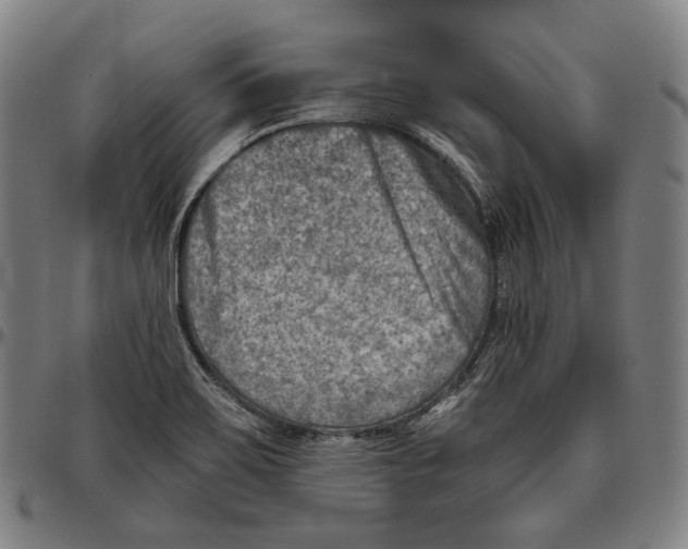 X0000096961467200802291109