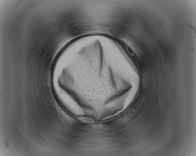 X0000096961468200802291109