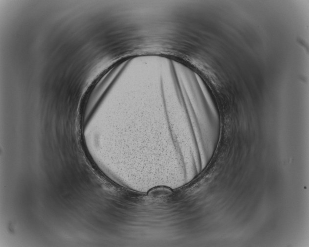 X0000096961469200802291109