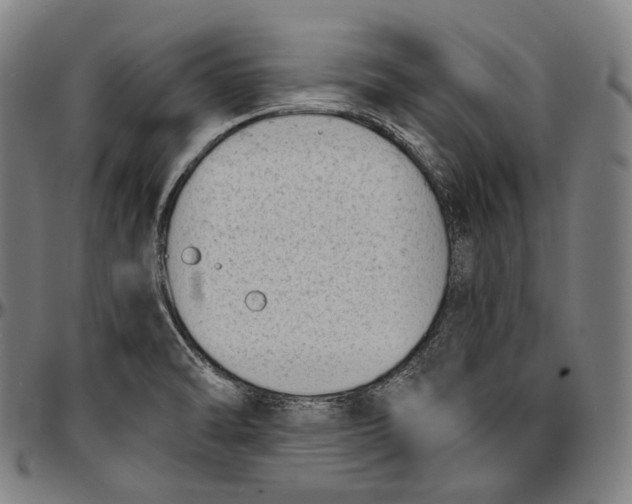 X0000096961470200802291109