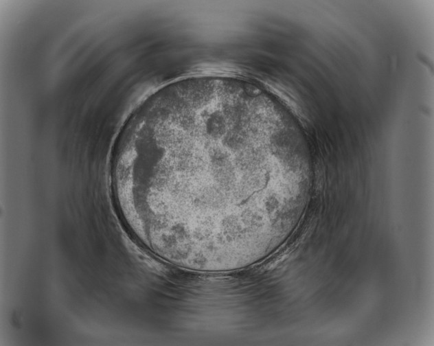 X0000096961471200802291109