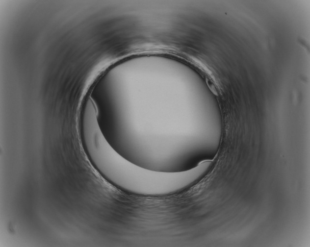 X0000096961472200802291109