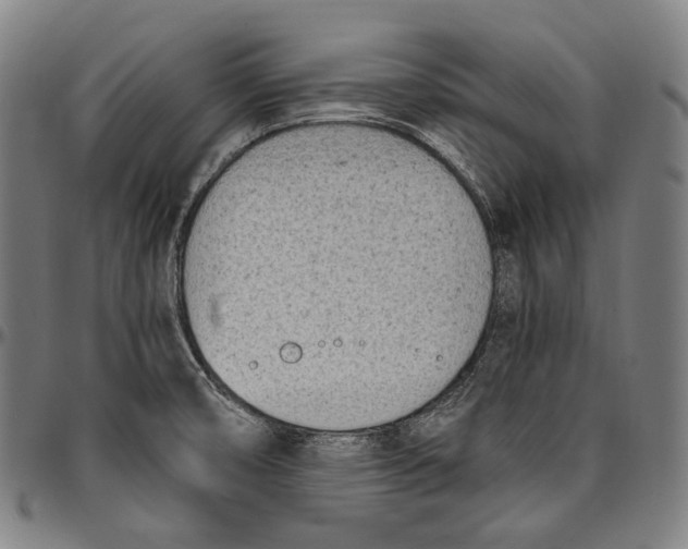 X0000096961474200802291109