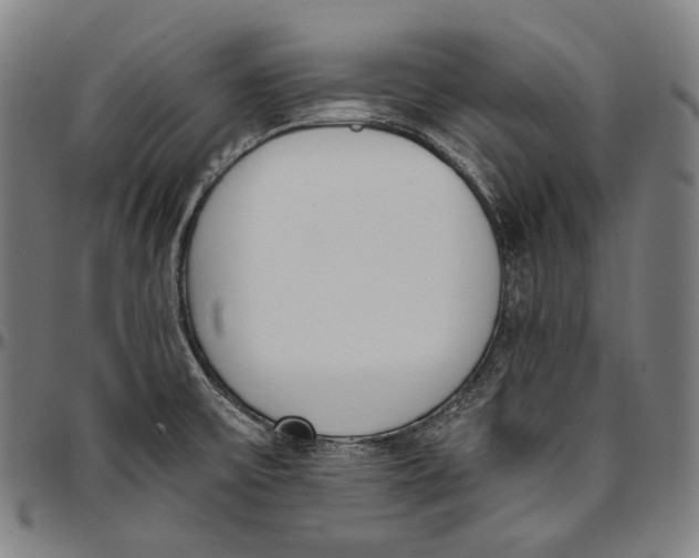 X0000096961475200802291109