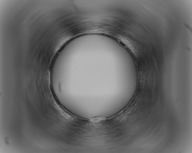 X0000096961476200802291109