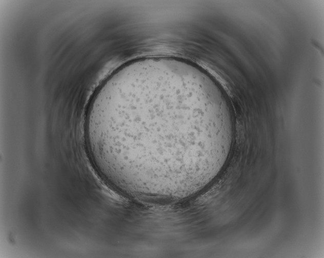 X0000096961477200802291109