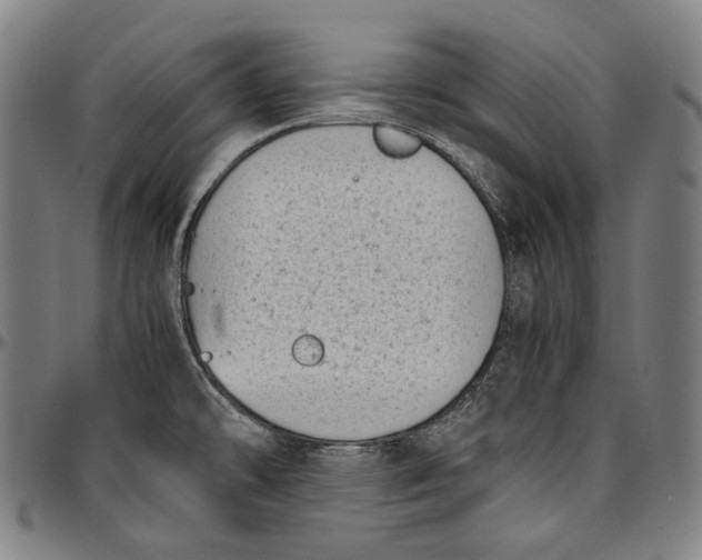 X0000096961478200802291109