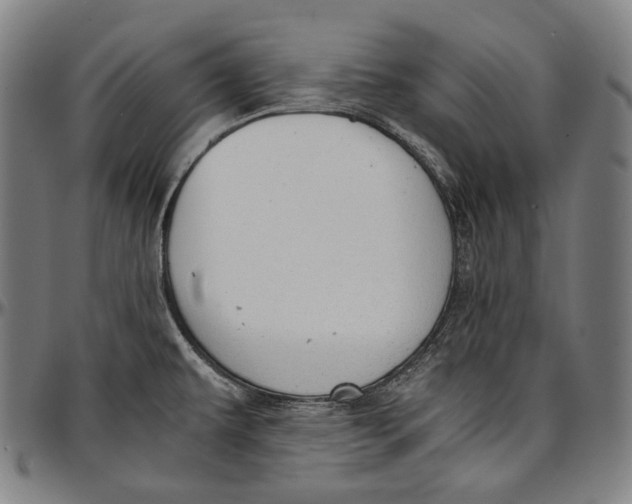 X0000096961479200802291109